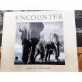 Encounter by David Yarrow