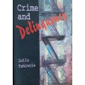 Crime and Delinquency by Lullu Tshiwula