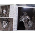Nocturnal Birds of Southern Africa by John Carlyon