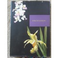 Orchideen by Kupper and Linsenmaier **text in Swiss**