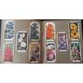 Wills Cigarette Picture Card Album complete with 50 cards Garden Flowers