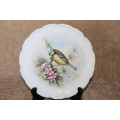 Royal Albert Blue Titmouse - Woodland Birds Collection Decorative Plate