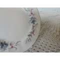 Paragon - Romance Cake Plate (C)