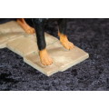 Resin Rottweiler Dod Figurine - Sherrett & Simpson