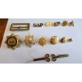 South African Police Service: Badge and button collection