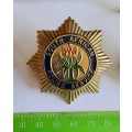 South African Police Service: Badge and button collection