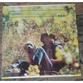 JOHN DENVER Greatest Hits (Very Good+/Very Good+) RCA CPL-1-0374 South African Pressing 1973