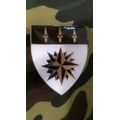 SADF 1 RECCE  SHOULDER FLASH  - - WITH PINS