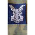 SADF/SA ARMY INTELLIGENCE CLOTH BADGE  - SEW ON