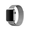 Apple Watch Strap Milanese 38mm -  silver (free shipping)