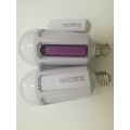 Rechargeable lightbulb with removable battery