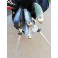 Golf clubs and bag