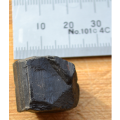Black Tourmaline Premier Stone for Protection