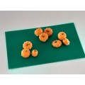 Miniture : 9 x Individual Pumpkins (HO)