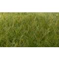 Woodlands Scenic : Static Grass - Dark Green 12mm