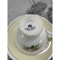 Vintage Royal Albert bone china cup and saucer set