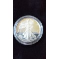 1999 1oz Silver-one Dollar