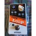 Amoon USB true bypass loop module - multispeed (24h-48h SA delivery )