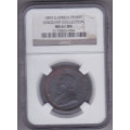 1893 1 penny NGC graded MS 61 BN. VERY RARE.  CV R26000