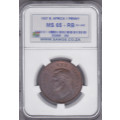 1937 1 Penny. Sangs graded as MS 65 RB.CV R15600 Sharing highest grade at NGC