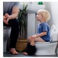 Baby To Toddler Potty Training Toilet Bowl Seat - Grey