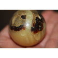 Septerye Ball