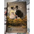 Antique Dutch Romantic Postcards - Alan McFarlane (6 Cards)