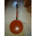 Stagg Bluegrass 5 string Banjo