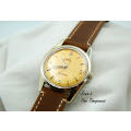 Vintage Omega Seamaster, 18 Ct Gold Capped Men,s Watch , Serviced and in very good conditions