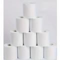 10 Rolls 2ply Soft Toilet paper