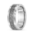 FINAL DAYS OF R1 AUCTIONS: Titanium Meteorite 8mm Band Ring. Size 11 / V+