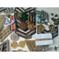Medals, Badges, Wings and Rank Joblot.