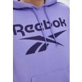 100% Original Reebok GI8508 RI FT OTH BL Hoodie - Size Large (Retail R999)