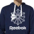 100% Original Reebok DT8126 C Big Logo Hoodie - Size Medium (Retail R999)