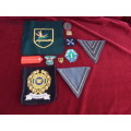 Lot of 10 Milatary Badges(bid for lot)