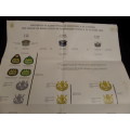 Rank Structure for Warrant Officers and non-commissioned Offficers in thebSA Defence Force Chart
