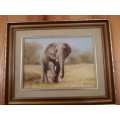 Oil on Board  - T Hacking -  Elephant   - Frame Size 50 cm x 40 cm