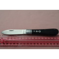 Interesting Pocket Knife with Anchor Motive in Excellent Condition