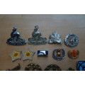 Lot of SADF and Naval Badges and Insignia (Bid for the Lot) Relisted Lot