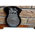 Stunning South Africain Navy Ships Plaque - Vrystaat - Pewter and Glass mounted on Wood