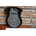 Stunning South Africain Navy Ships Plaque - Protea - Pewter and Glass mounted on Wood