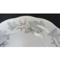Gorgeous Vintage Royal Albert Bone China `Silver Maple` Small Bowl