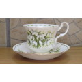 Vintage Royal Albert Bone China Flower of the Month Series (January) `Snowdrop` Teacup and Saucer