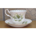 Vintage Royal Albert Bone China Flower of the Month Series (January) `Snowdrop` Teacup and Saucer