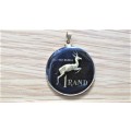 Fabulous Enamelled Republic of South Africa Silver 1967 One Rand Coin Pendant (17.3 g)