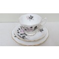 Wonderful Vintage Royal Albert `Queen`s Messenger` 27 Piece Tea Set Details in Description