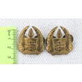Two South African Defence Force Military Gymnasium Cap Badges