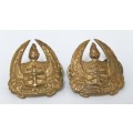 Two South African Defence Force Military Gymnasium Cap Badges