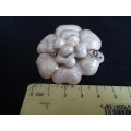 Stunning Vintage And Rare Chanel Paris Cambon Camellia Enamelled Brooch In Excellent Condition