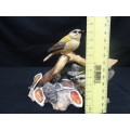Vintage Limited Edition Coalport Goldcrests Bird Collection - Number 1282/4950